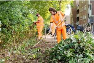 Medewerkers van UW groenvoorziening in oranje werkkleding aan het snoeien en schoffelen in een woonwijk.